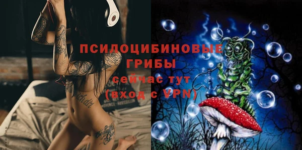 ГАЛЛЮЦИНОГЕННЫЕ ГРИБЫ Киреевск