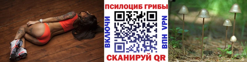 Купить закладки  Гуково  Псилоцибиновые грибы Magic Shrooms 