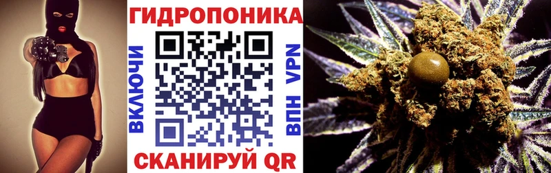 Шишки марихуана AK-47 Купить Гуково